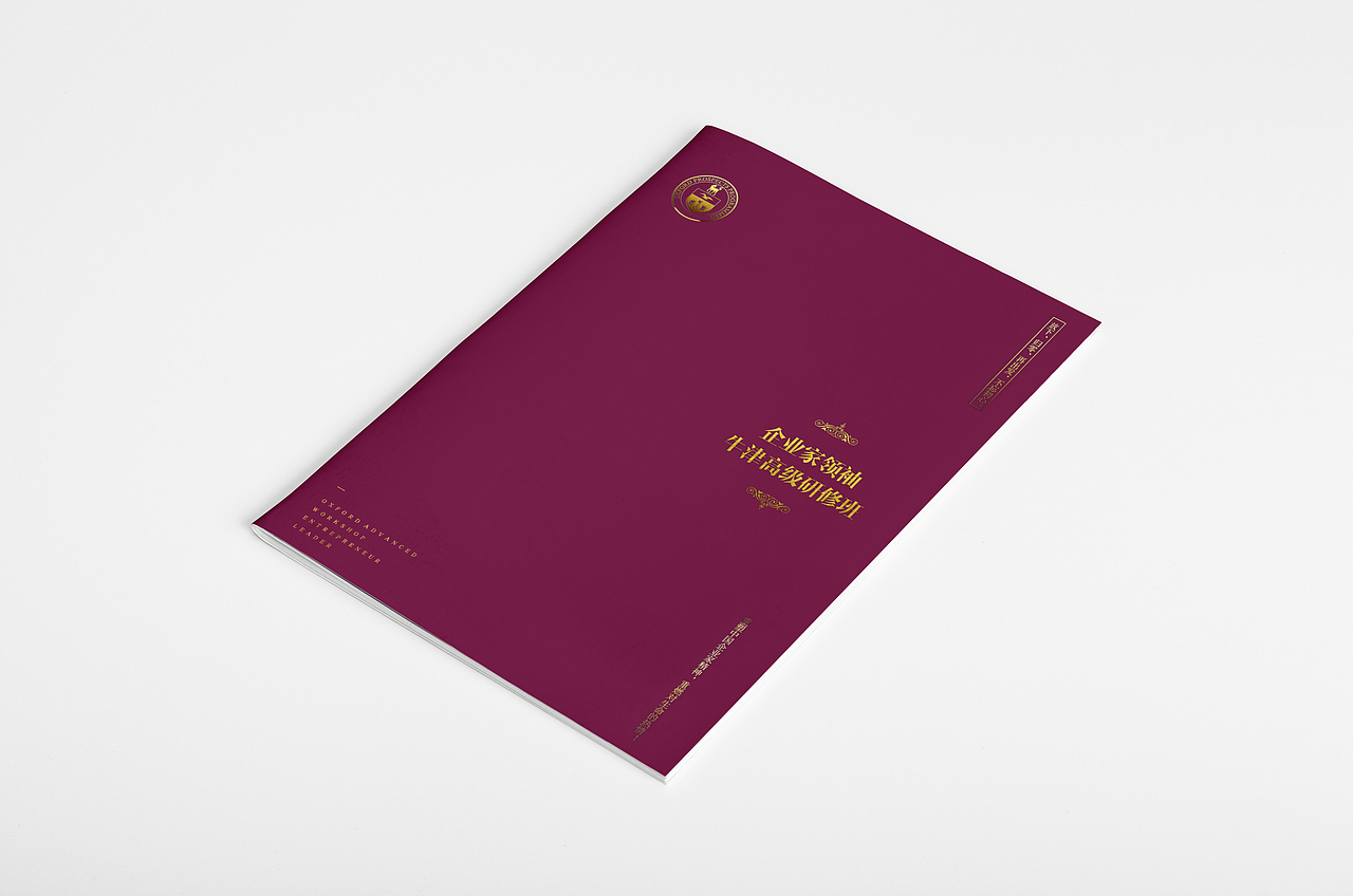 版式合集2（图ZNTQwNTIzNDQ=） - 书籍/画册 - 站酷设计师九合龙大原创素材 - 站酷ZCOOL