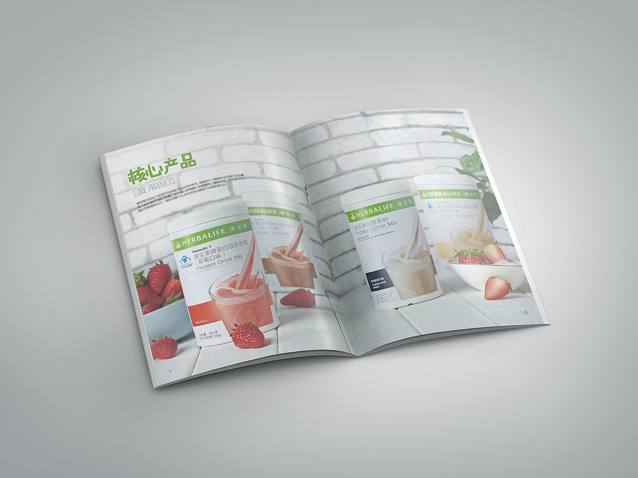 康宝莱公司手册