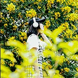 岚嵐儿的头像