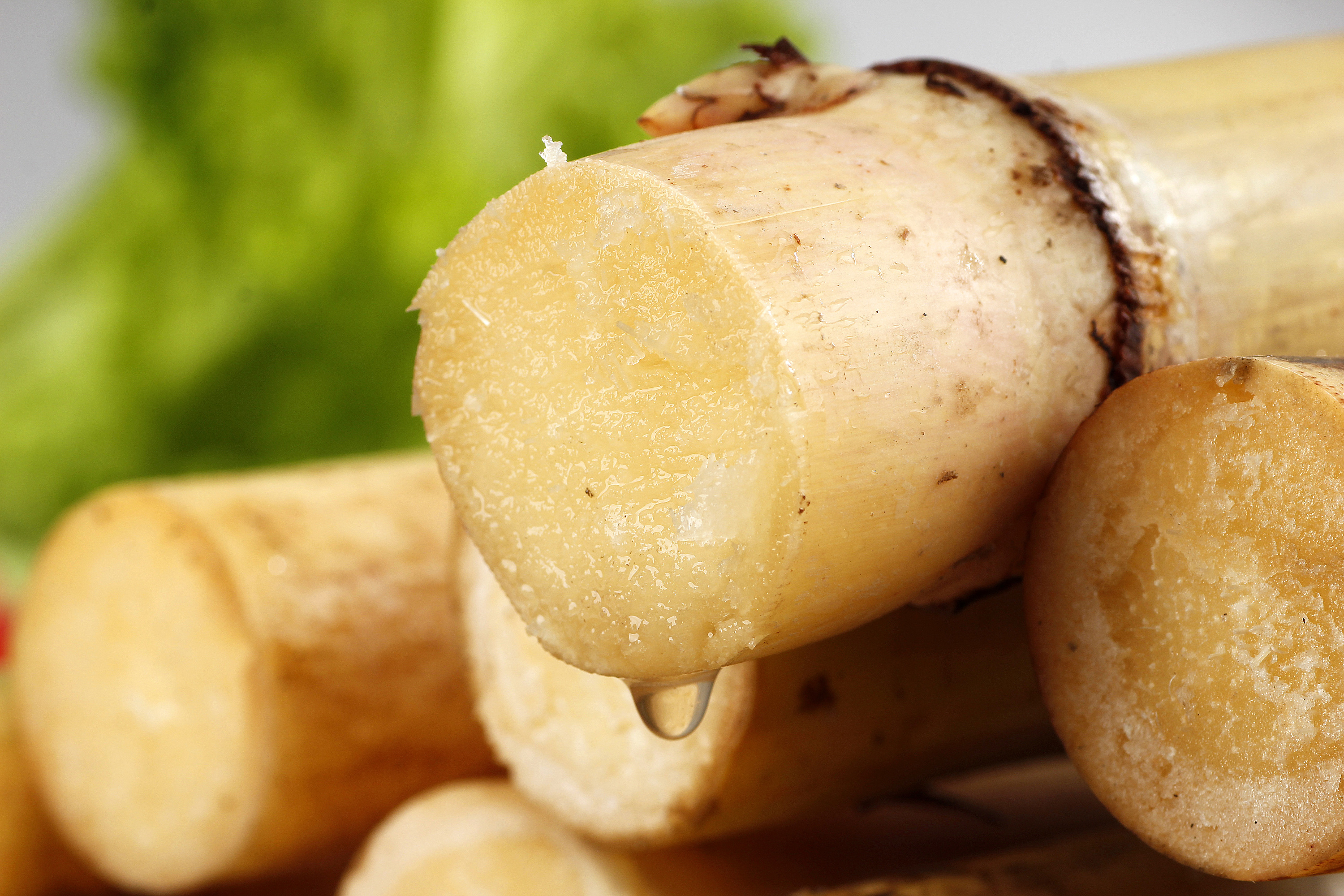 白玉甘蔗丨电商平台客户约拍丨飞鸟电商陈默