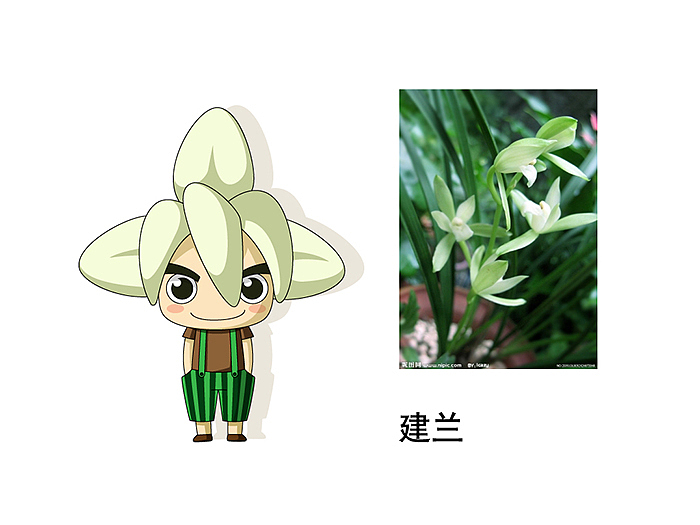 兰花卡通形象