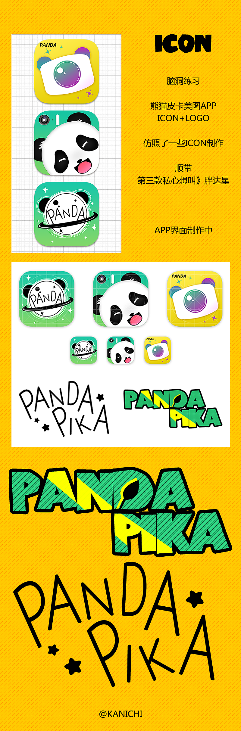 练习-原创熊猫相机ICON组
