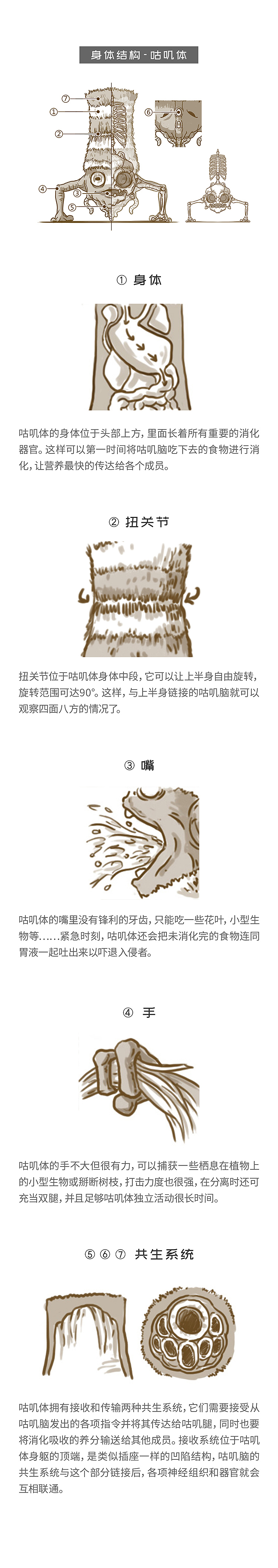 空想宇宙生物百科：咕叽咕叽（图ZMTI2NTA4ODY0） - 概念设定 - 站酷设计师KAKA星漂流记原创素材 - 站酷ZCOOL