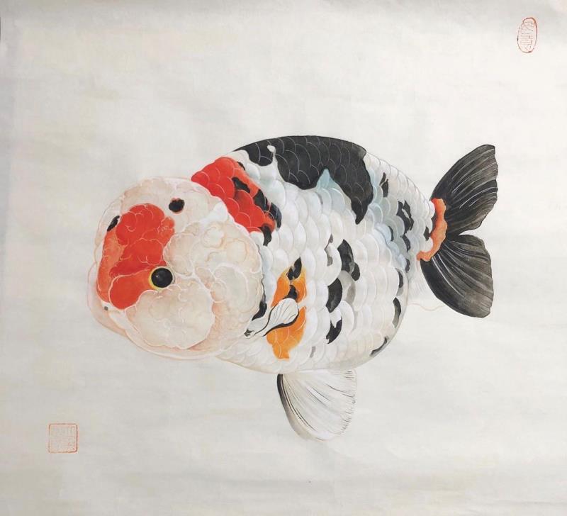 兰寿鱼装饰国画
