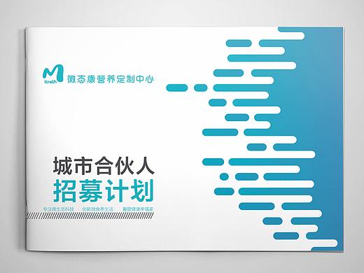 招募计划手册