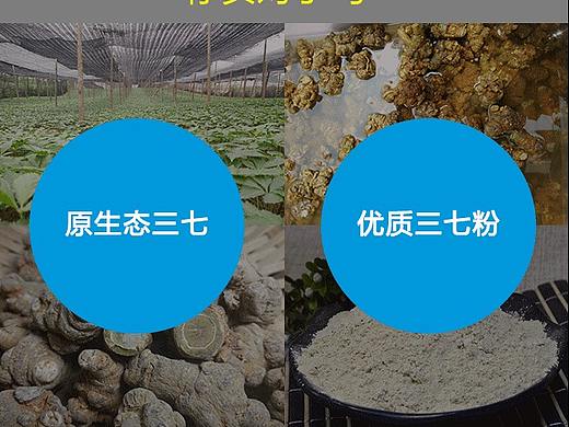 广告页面（个人主页-ZMjc3MTk0OTI=） - 其他网页 - 站酷设计师杨晶晶0824原创素材 - 站酷ZCOOL