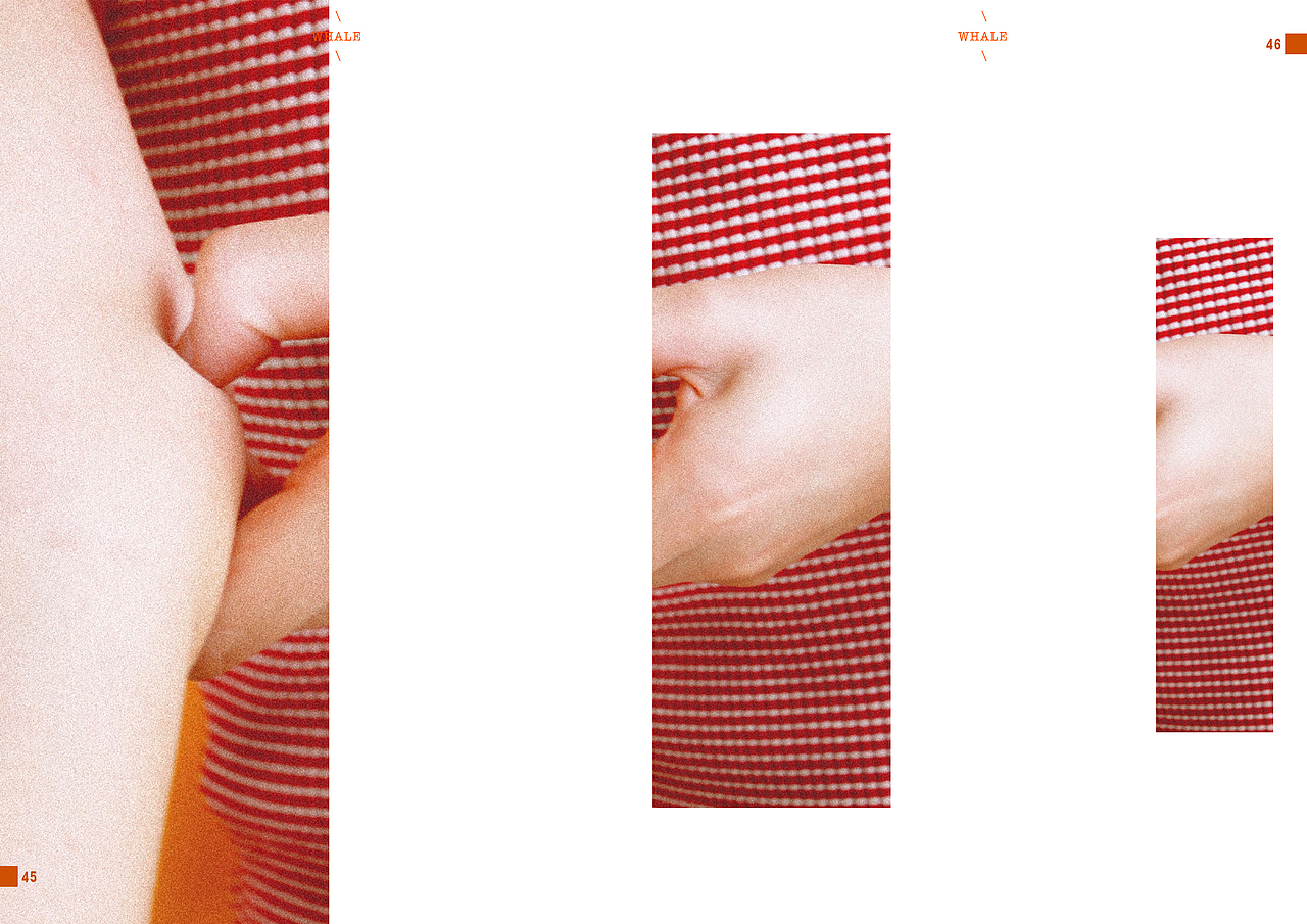 我眼中的所有 | 摄影/设计