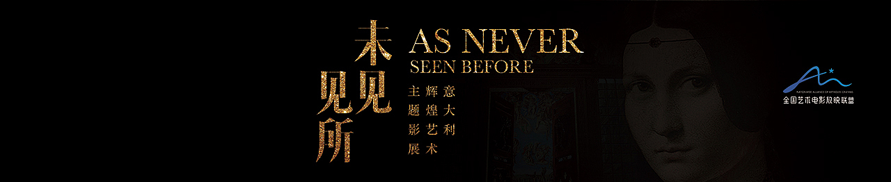 2017执行的各类电影展-主视觉及延展