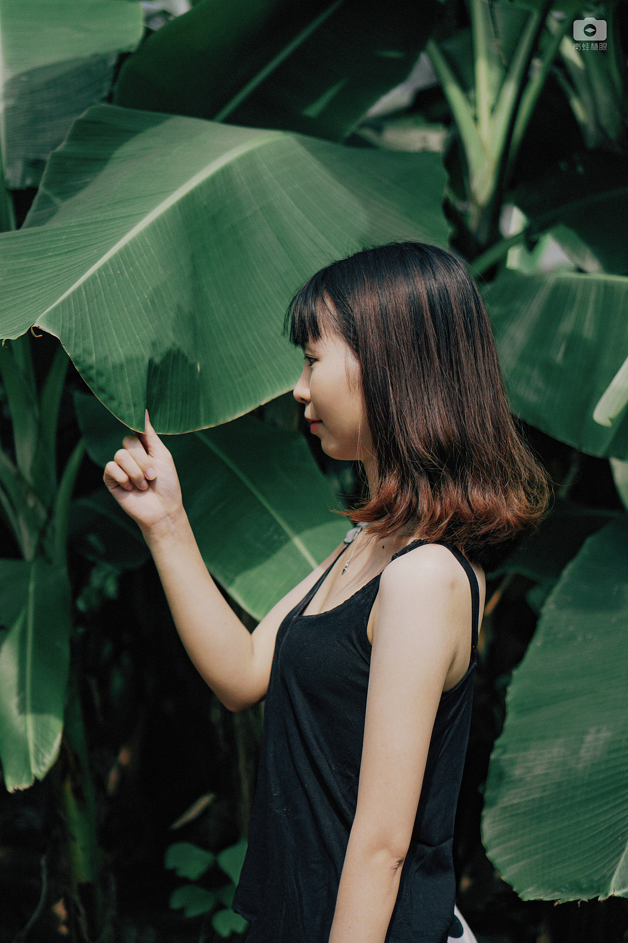 七月盛夏（图ZMTcwODU5NTMy） - 人像摄影 - 站酷设计师青蛙慧眼原创素材 - 站酷ZCOOL
