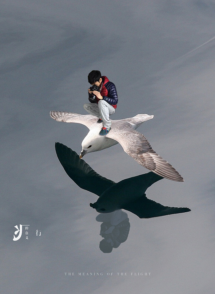 飞行摄影,水中沉思,神驹