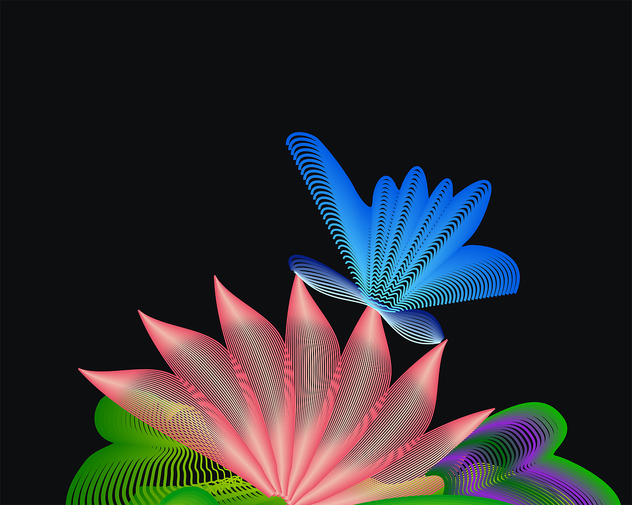 数字化花鸟字研究与尝试