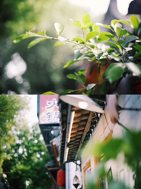 在胡同口溜达的一天