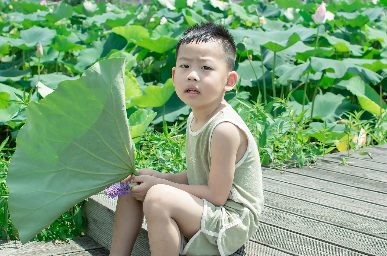 荷叶与小童
