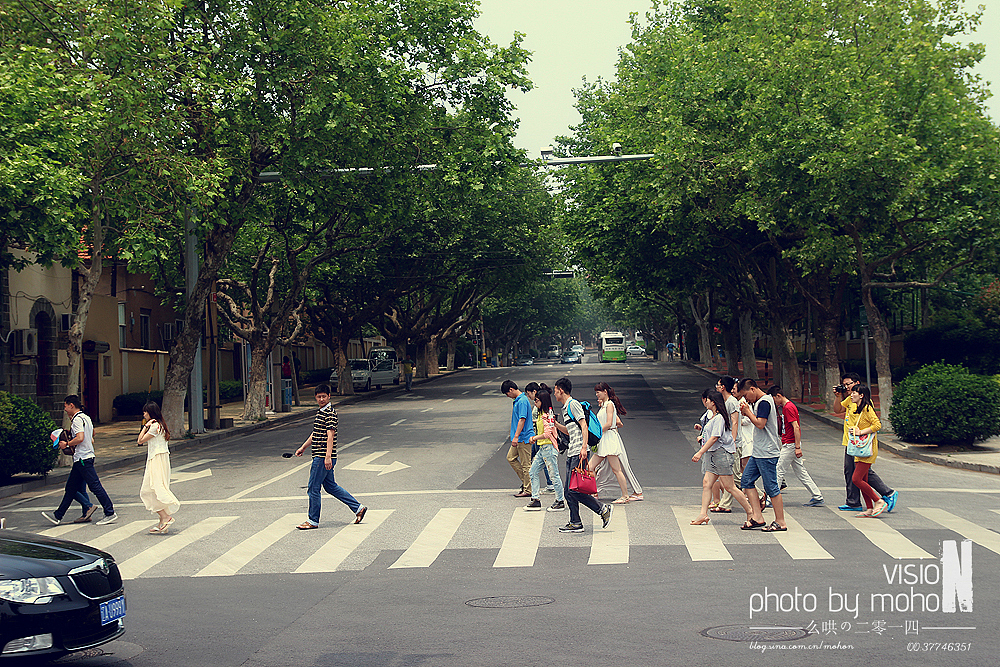 【2014游】猫眼看青岛