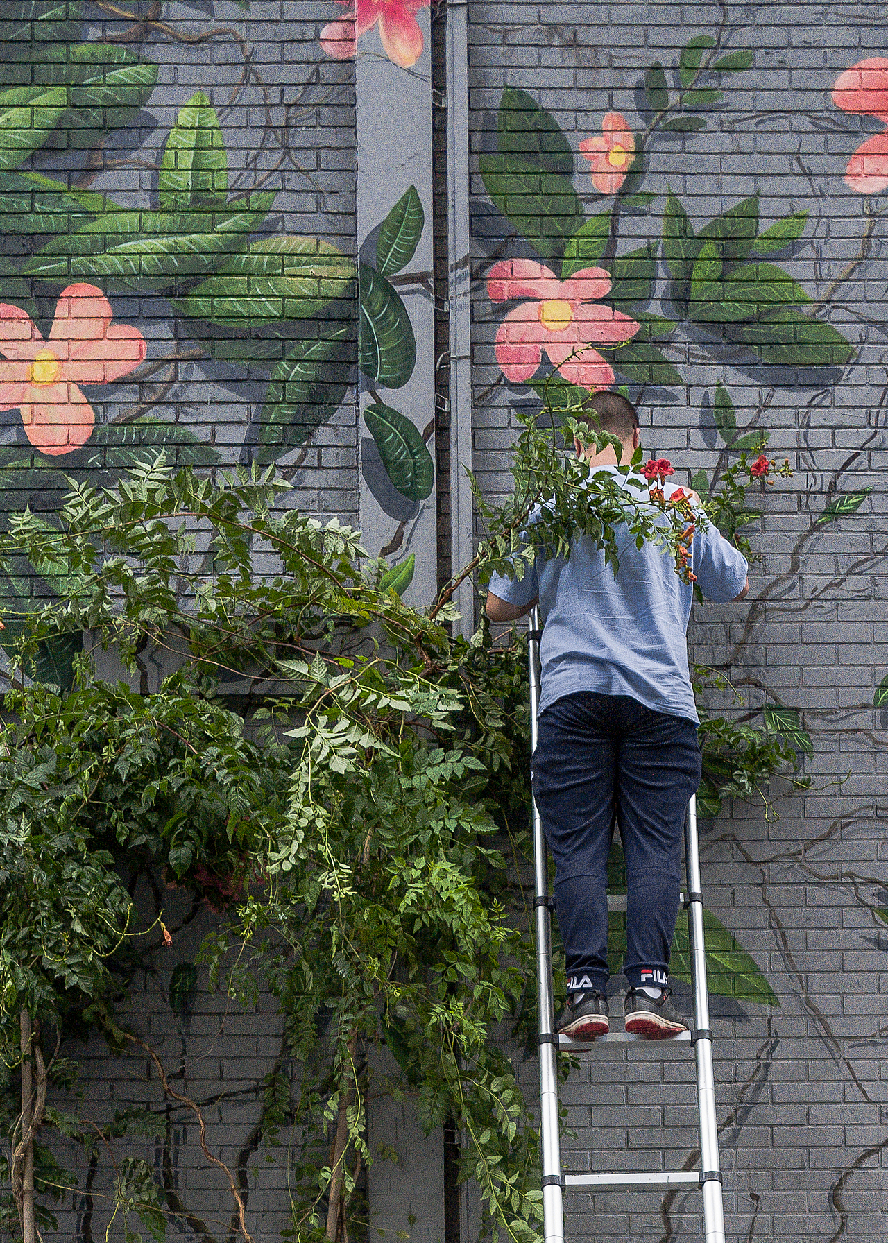 街头摄影创作/合集02