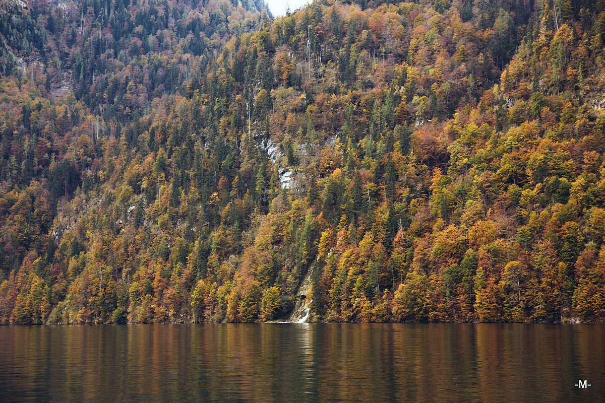 
色彩非常棒的季节肯定当属秋季嘛=W=！！