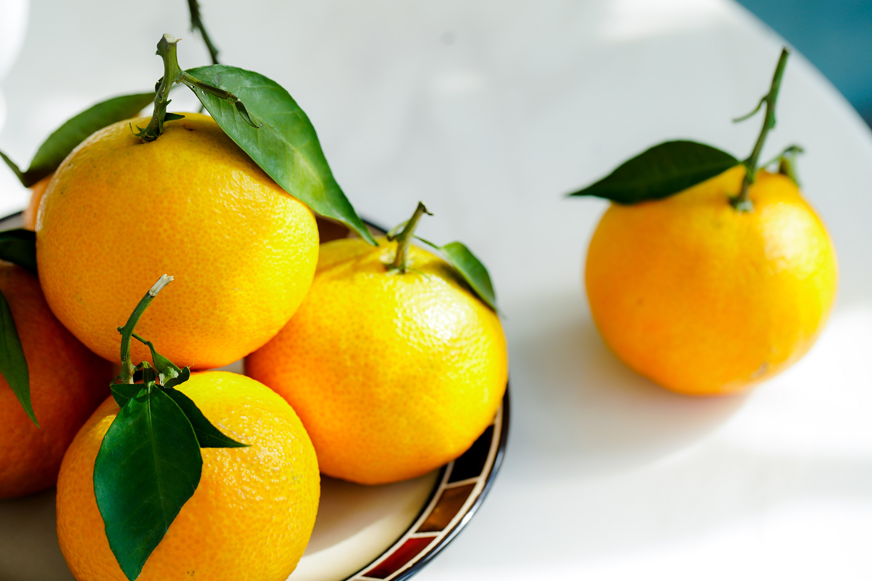 爱媛38号果冻橙 生鲜拍摄 水果拍摄 土特产美食拍摄|摄影|产品|迪芃摄影 - 原创作品 - 站酷 (ZCOOL)