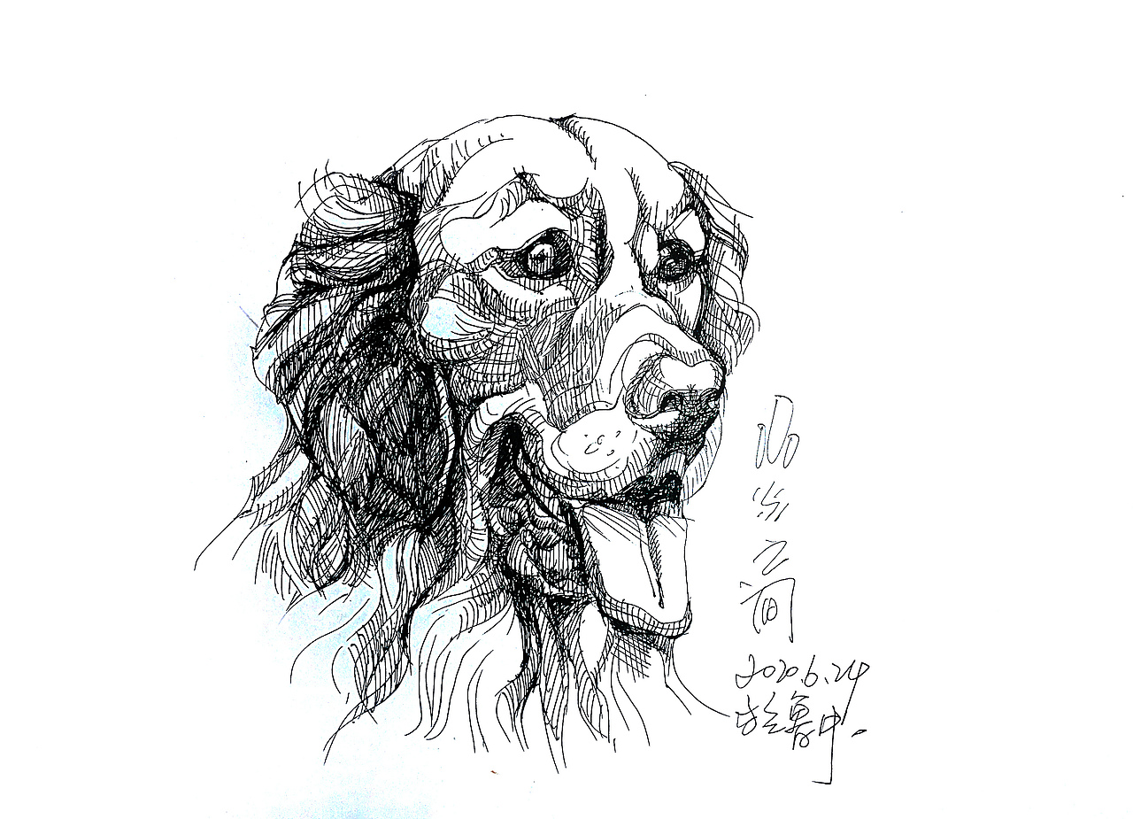 动物钢笔素描。