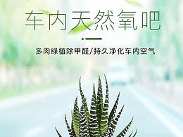 車載盆栽詳情頁案例