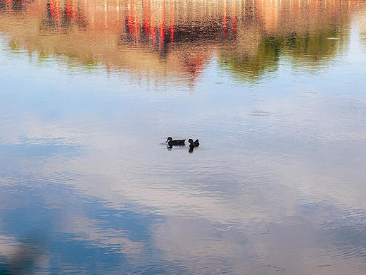 秋分 ｜ 平分秋色 想念均勻（個人主頁-ZNTUzOTI0OTI=） - 風(fēng)光攝影 - 站酷設(shè)計師豹四原創(chuàng)素材 - 站酷ZCOOL