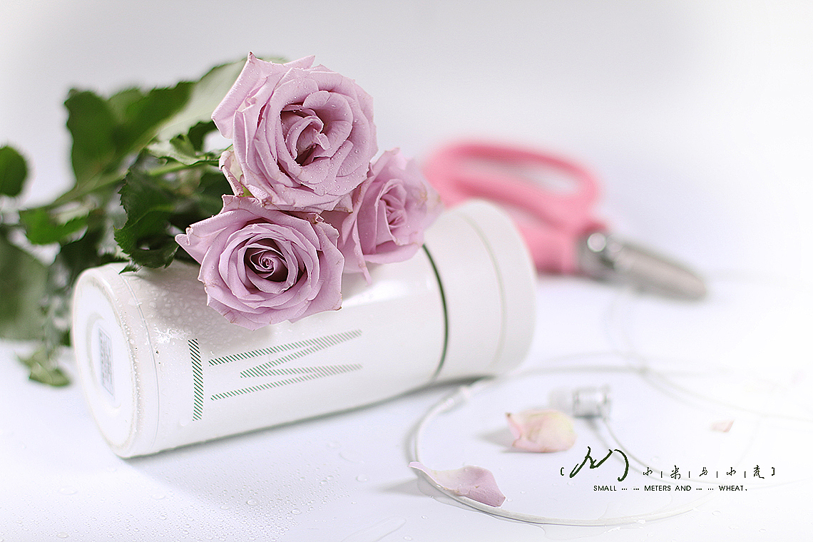 Flower-紫精灵（图ZOTc2MjE0NDA=） - 产品摄影 - 站酷设计师小米与小麦原创素材 - 站酷ZCOOL