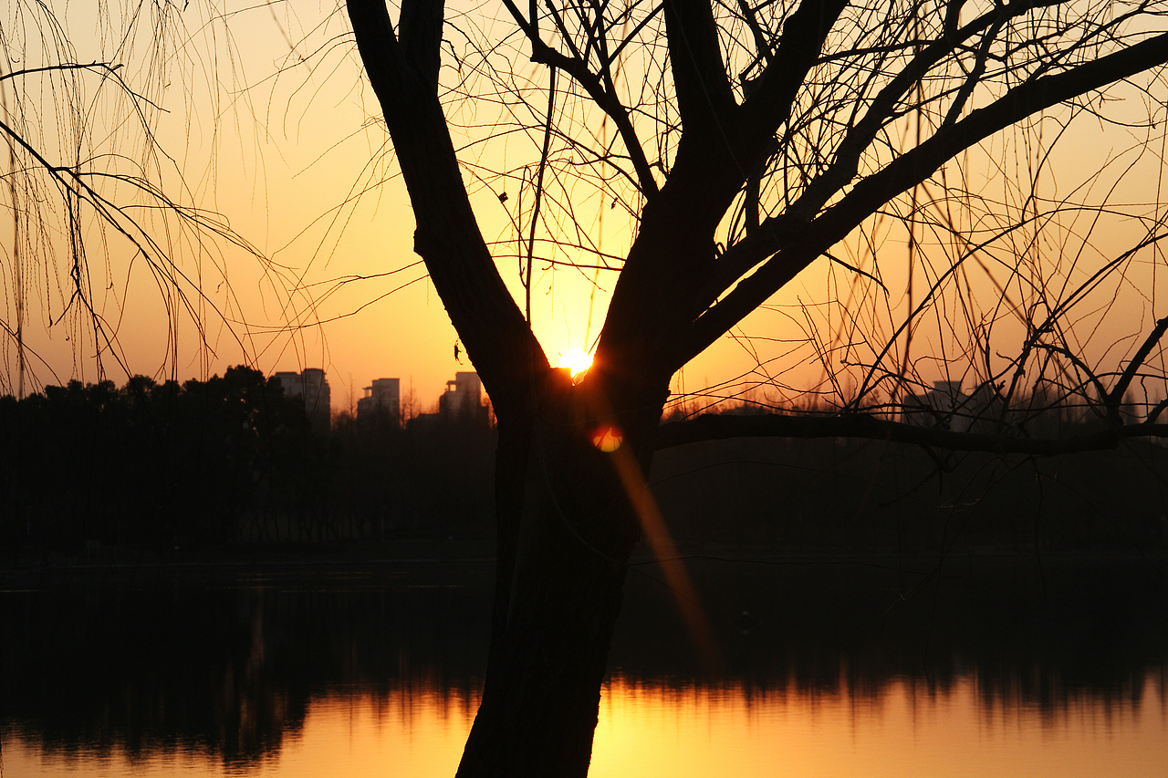 枯竭 黄昏 霓虹