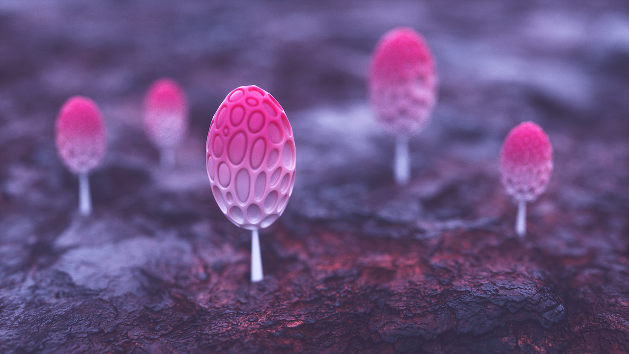 三维创意之旅（图ZMTkxNzk2MzA0） - 其他三维 - 站酷设计师小动画安语原创素材 - 站酷ZCOOL