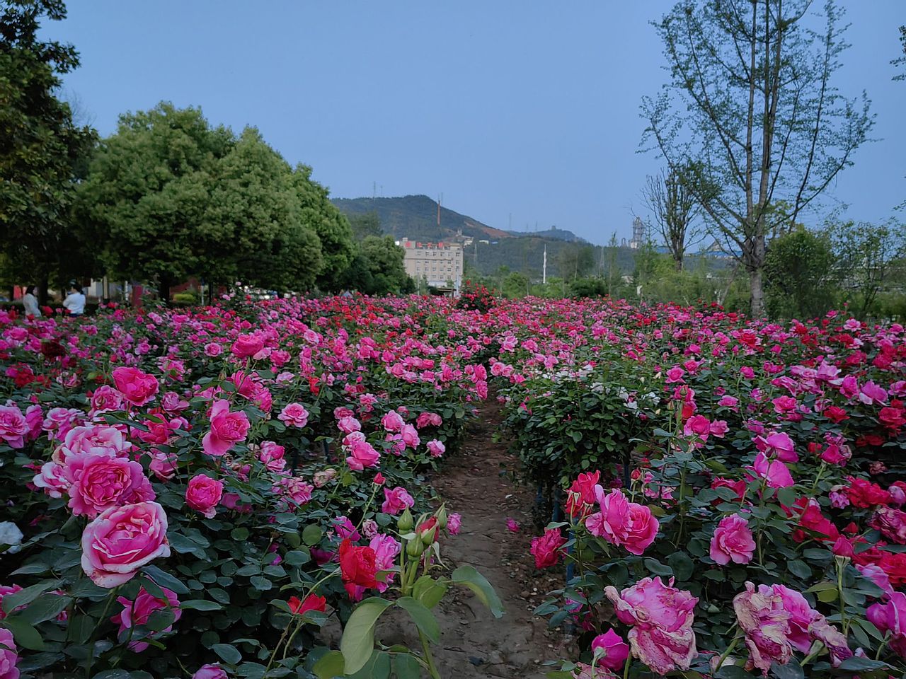 5.1出游季（图ZMzM5MzM3NDA4） - 风光摄影 - 站酷设计师红云道友原创素材 - 站酷ZCOOL