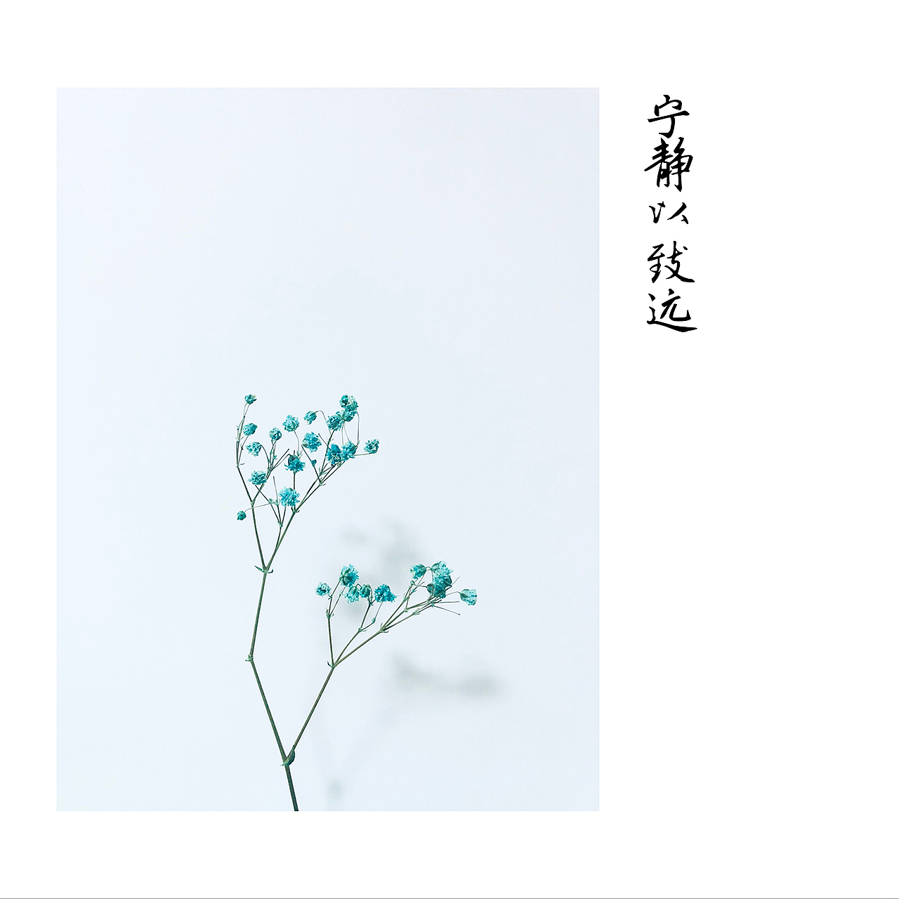 手机摄影（图ZMjc0NTE3NjU2） - 其他摄影 - 站酷设计师JessenYK原创素材 - 站酷ZCOOL