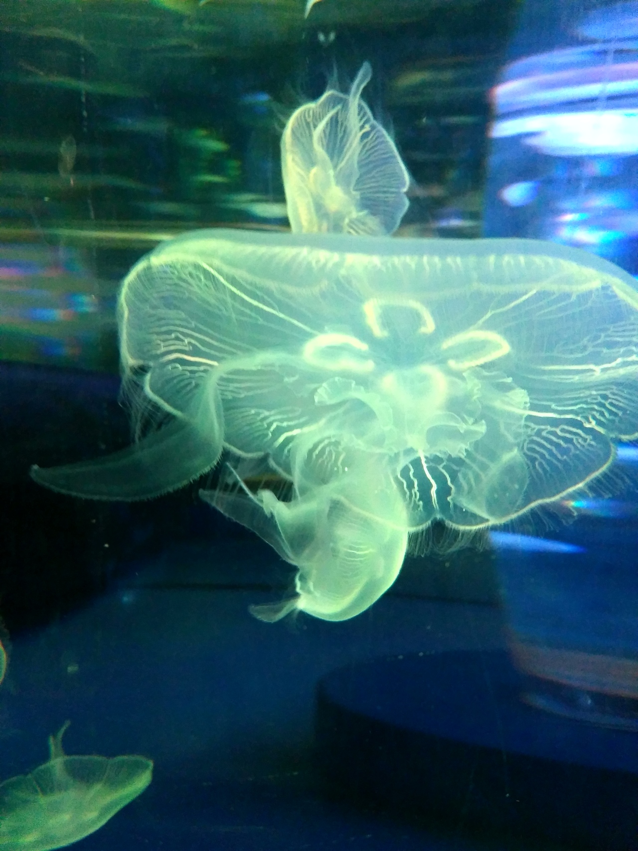 顺手拍（图ZNjkzNDg4MTY=） - 风光摄影 - 站酷设计师腿肉一蹶不起原创素材 - 站酷ZCOOL