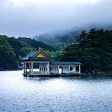 sutangren的头像