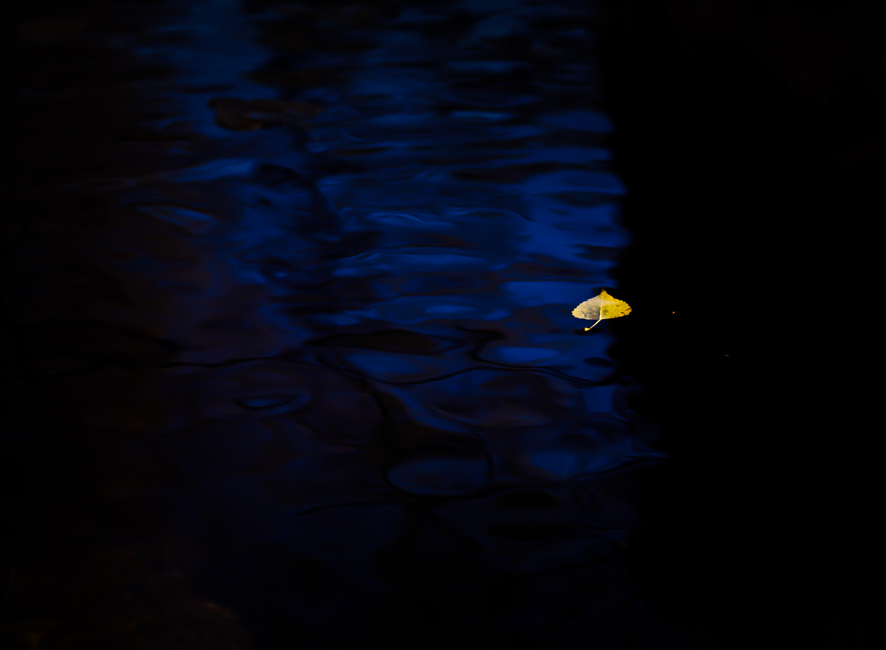 嚴大少的個人主頁（封面預覽） - 主頁封面設(shè)置 - 站酷設(shè)計師嚴大少原創(chuàng)素材 - 站酷ZCOOL