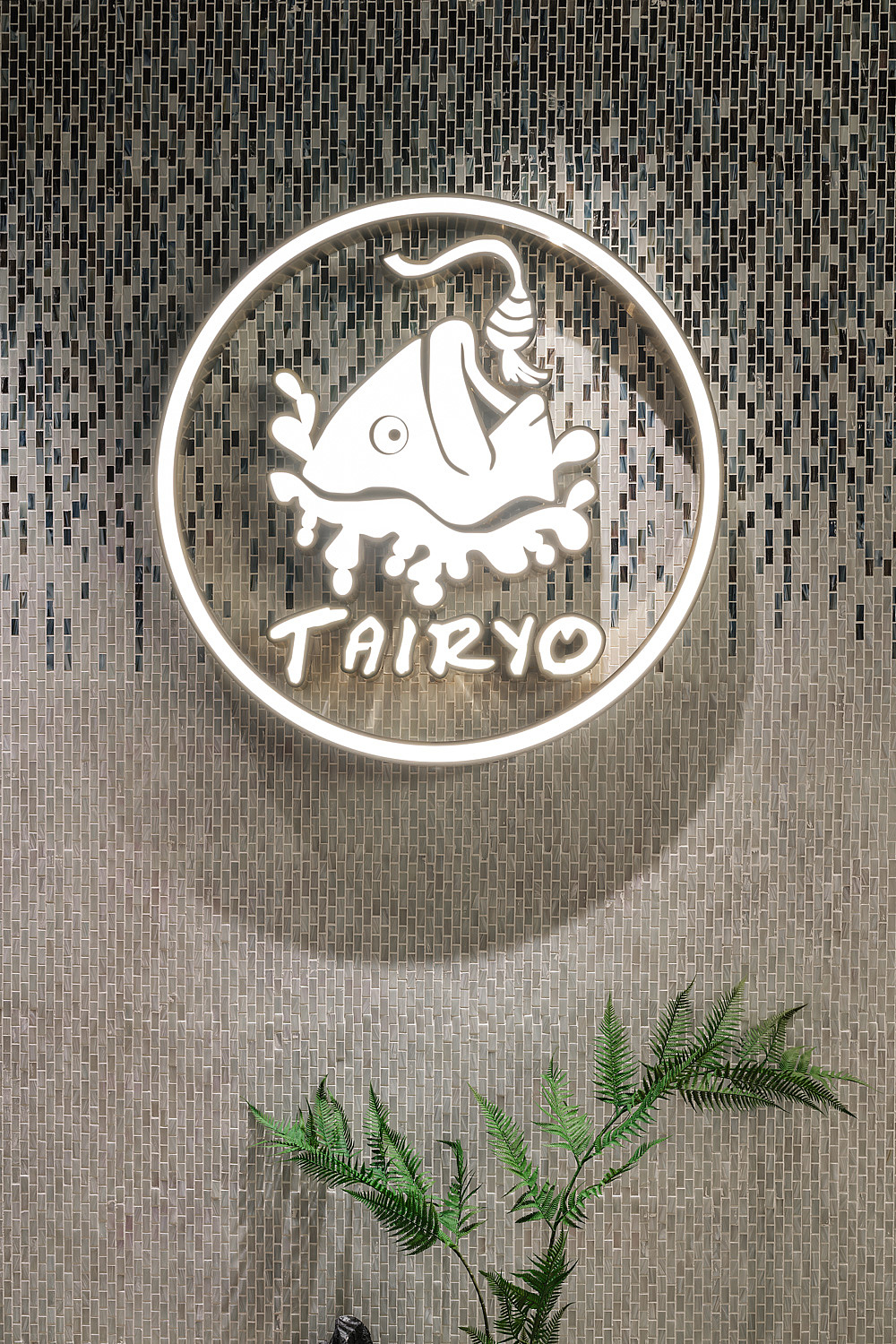 空间摄影|大渔铁板烧