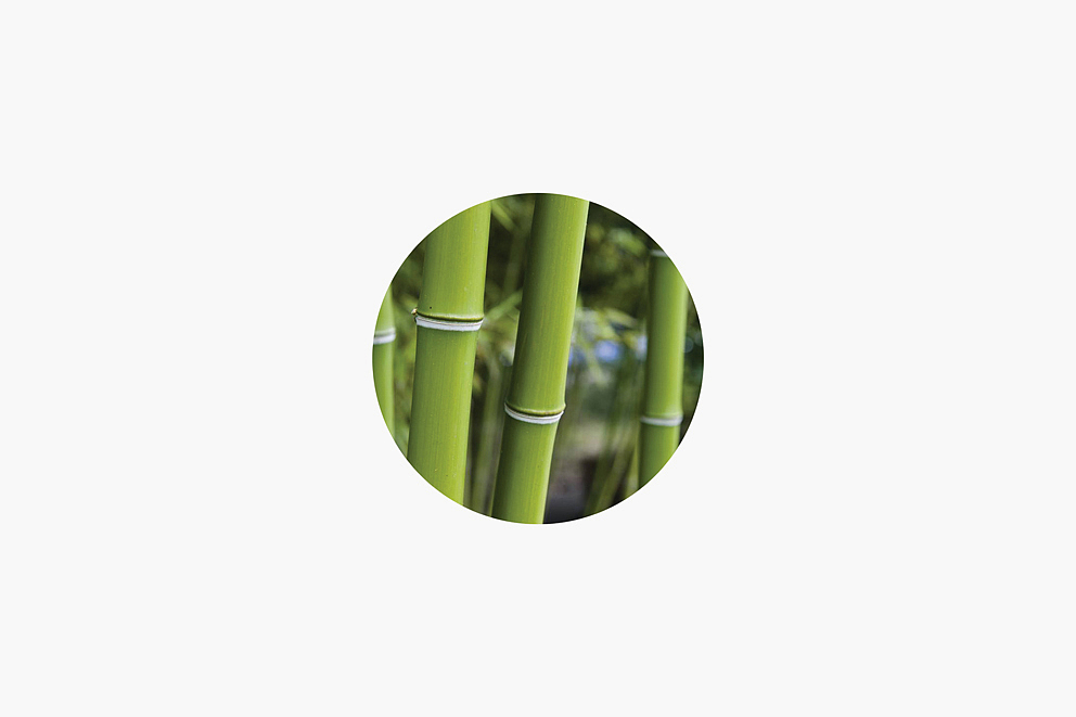 <备选也精彩>旦目眼镜标志设计备选方案