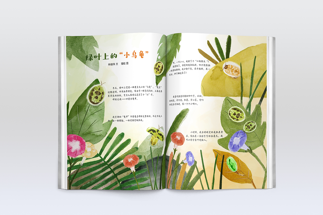 绿叶上的“小乌龟” —— 小学生导刊