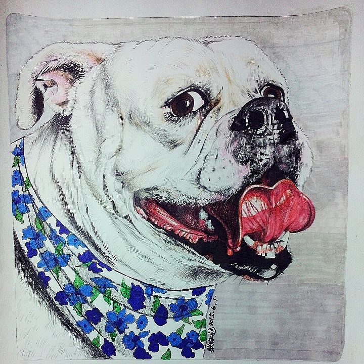 最爱!画狗狂人2