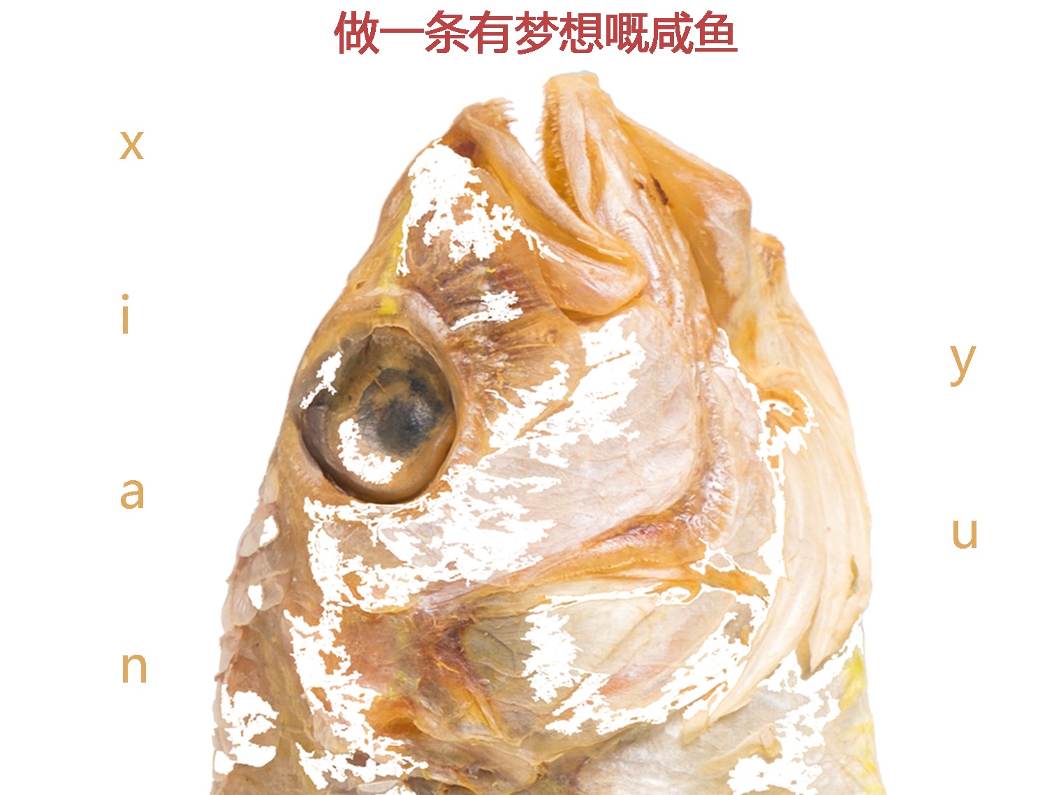 做有梦想的咸鱼|平面|海报|raychung - 原创作品 - 站酷 (ZCOOL)