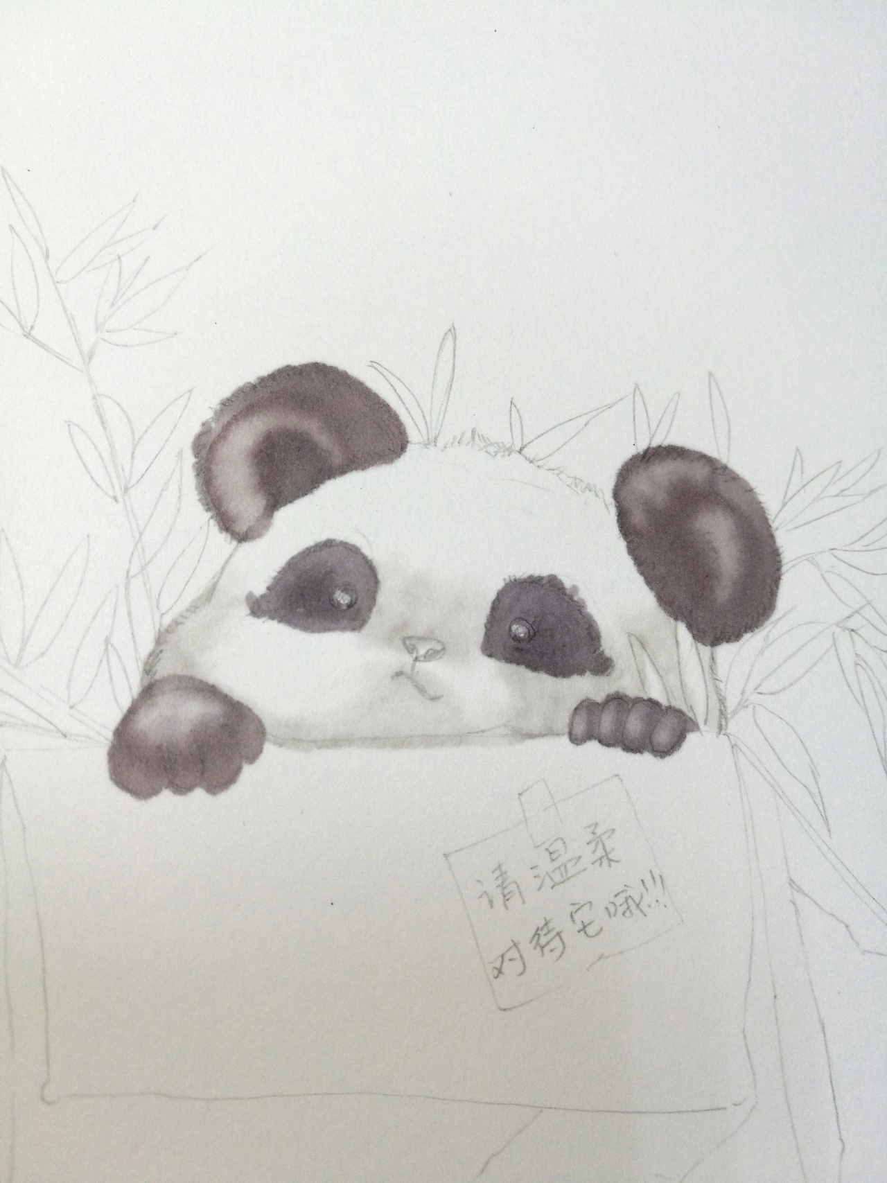 彩铅手绘/熊猫|纯艺术|绘画|yehui89 - 原创作品 - 站酷 (ZCOOL)