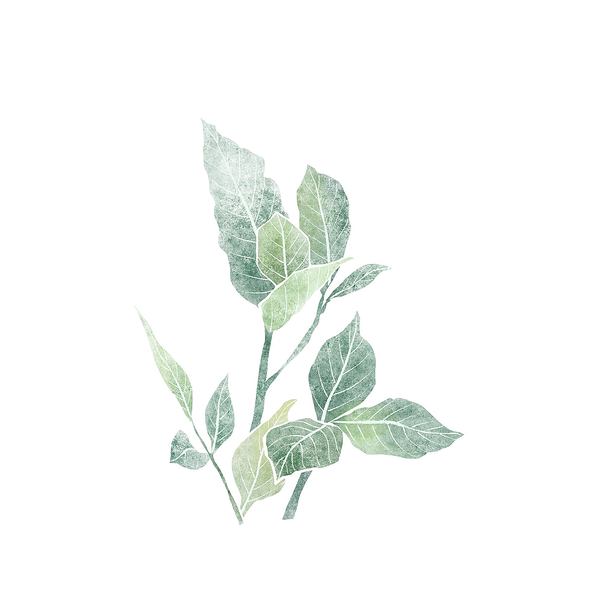 爱之花语（图ZMjM0MTk1NjI0） - 艺术插画 - 站酷设计师山里小七原创素材 - 站酷ZCOOL