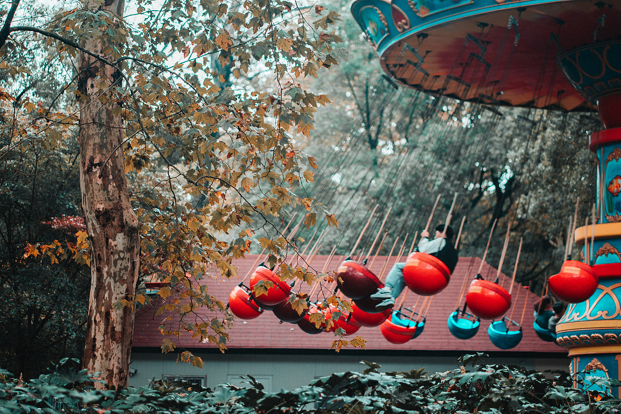 共青森林公园秋天的景色