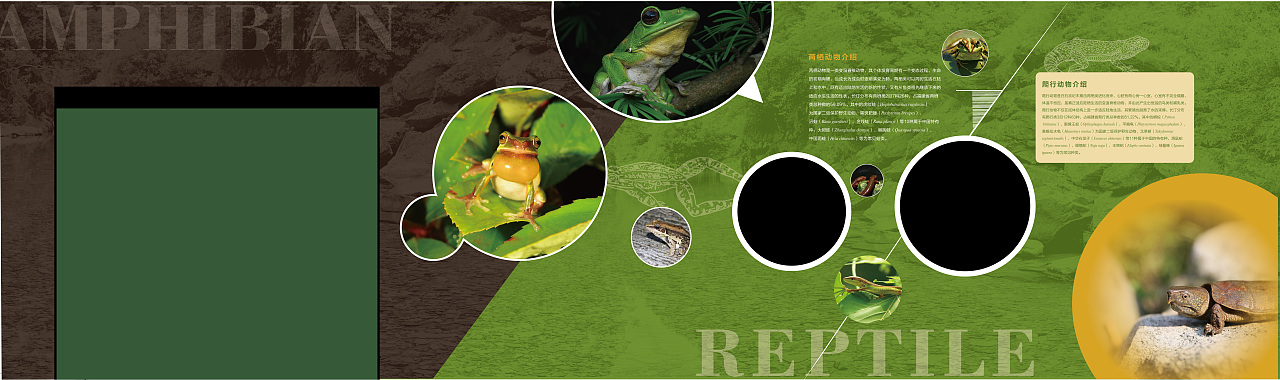 汀江源自然教育馆（图ZMjcyMTg4MTky） - 其他平面 - 站酷设计师酷酷的大沈原创素材 - 站酷ZCOOL