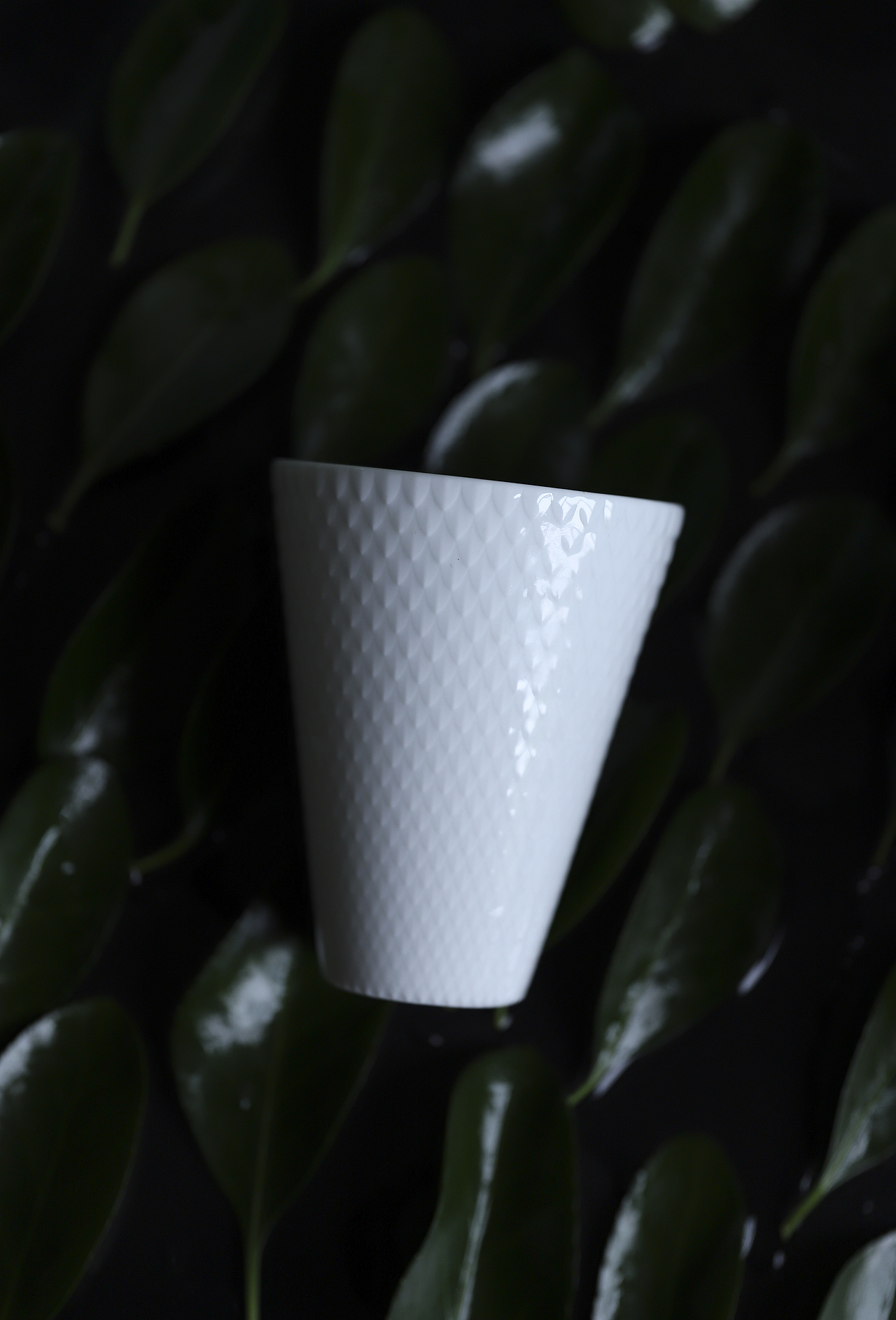 惊蛰系列-白月光（图ZMjIxNDQ4NDcy） - 产品摄影 - 站酷设计师煤球球的猫尾巴原创素材 - 站酷ZCOOL