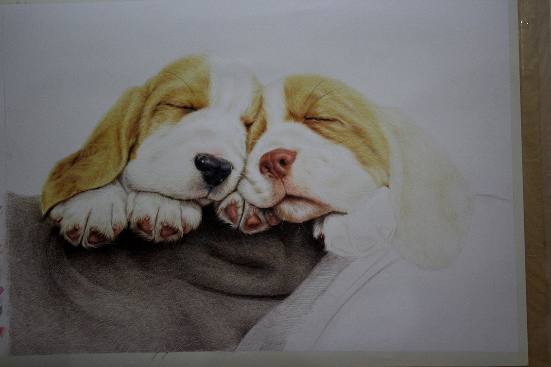 两只小萌狗（图ZMzQ2MTg0NDQ=） - 绘画 - 站酷设计师只露尻尾原创素材 - 站酷ZCOOL