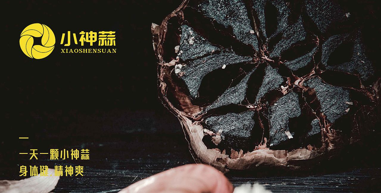 山东火迈品牌策划——黑蒜品牌设计（图ZMTQyNzM0NjQ0） - Logo - 站酷设计师火迈品牌原创素材 - 站酷ZCOOL