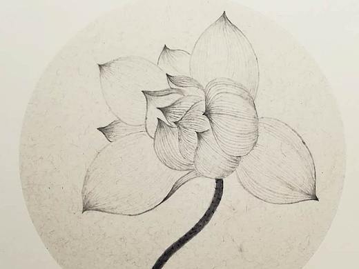 吾爱莲（个人主页-ZMzY3MzUxNzY=） - 绘画 - 站酷设计师白色的树原创素材 - 站酷ZCOOL