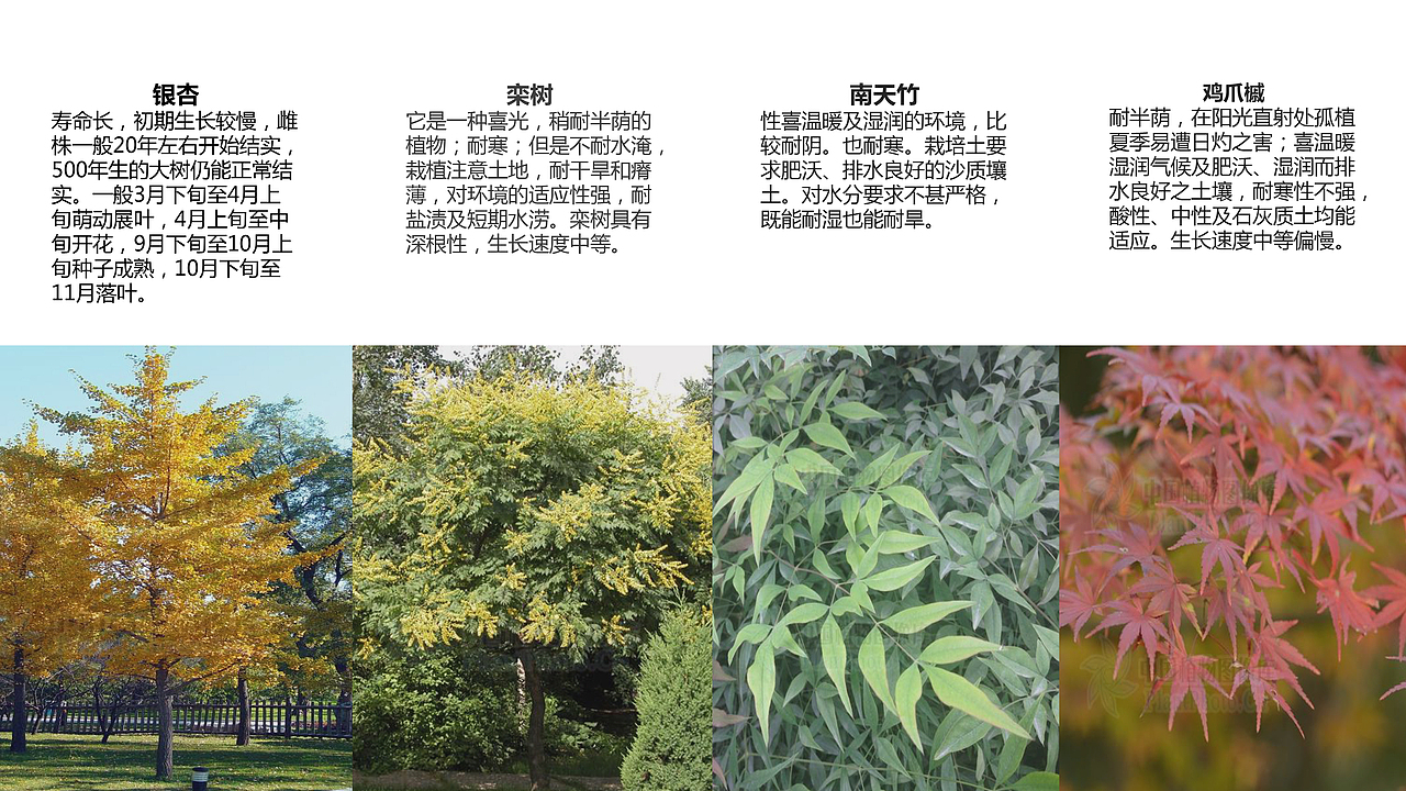 园林植物学