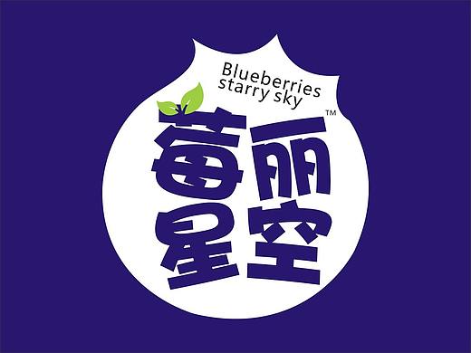 莓丽星空 · 蓝莓酵素果汁产品包装设计 · 礼盒形象设计