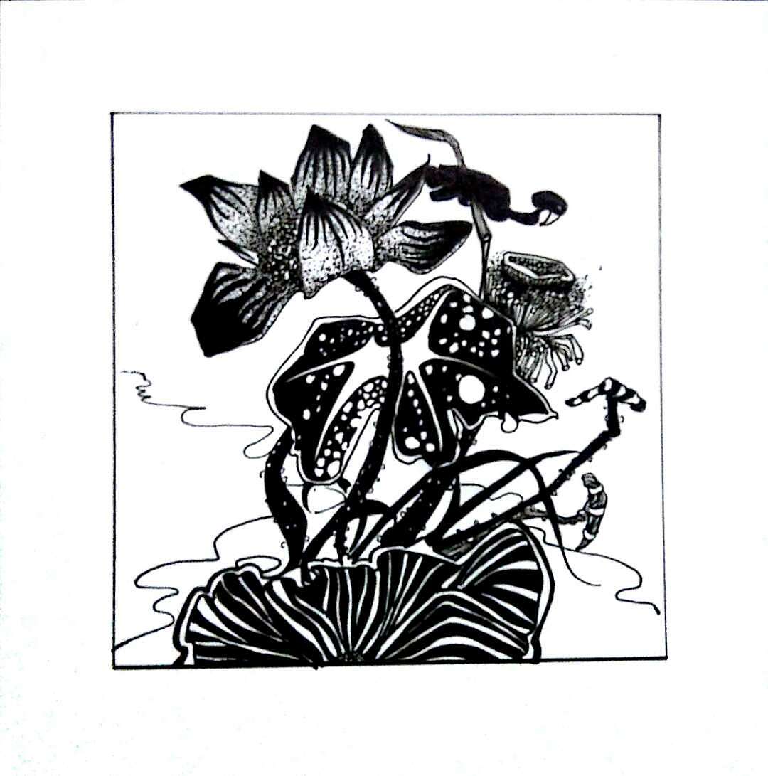 自然形态和半抽象形态