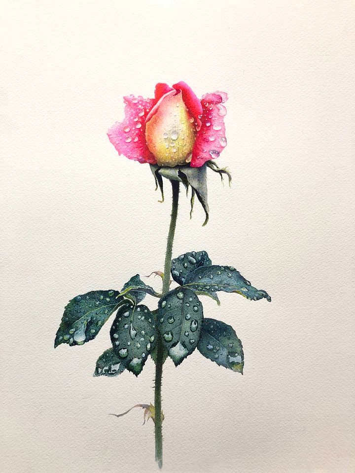 手绘风景（图ZMTI4NjkyODgw） - 绘画 - 站酷设计师夏梓寒原创素材 - 站酷ZCOOL