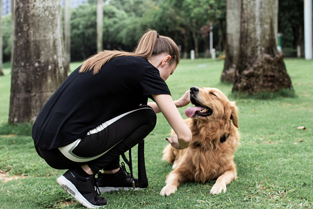 随手拍丨PETFON宠物追踪器跟拍